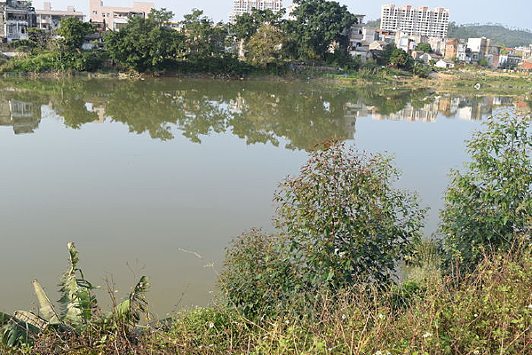 ������Ӱ