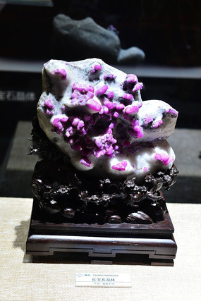 �챦ʯ����չ��