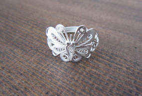 ������ָ