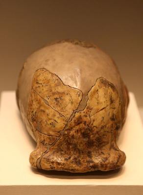 ��ʯ��ʱ��������ͷ�ǹ�