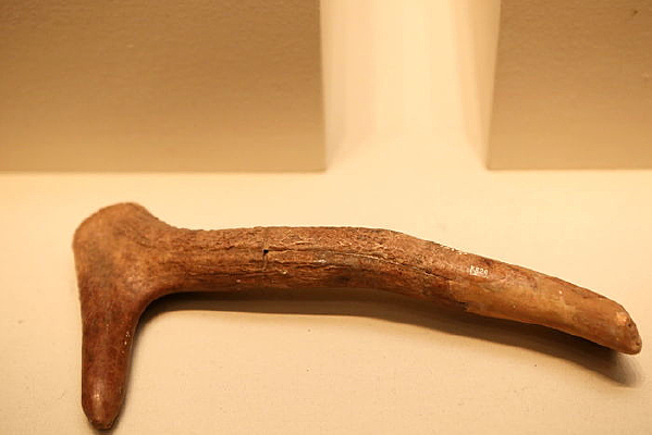 ��ʡׯ�Ļ�¹�Ǻ����