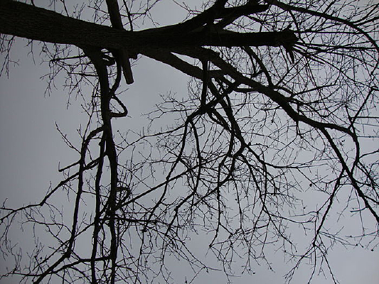 ��ɣ����