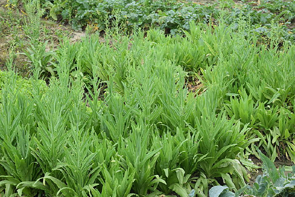 ũ������Ӱ