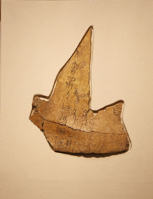 �̴���������Э��̴�ţ��