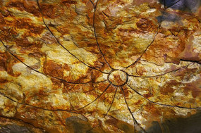 ʯ������