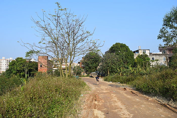 ���С����