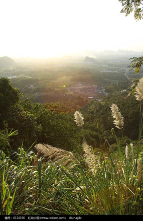 Ϧ������ҹ��