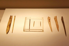 �����Ļ������׶