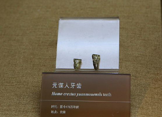 Ԫı������