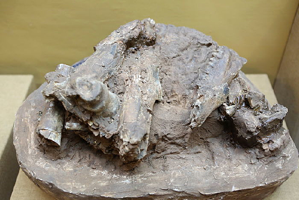 Ԫı����ַ���ﻯʯ�ѻ�