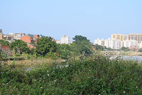 �Ӳݴ�����Ӱ