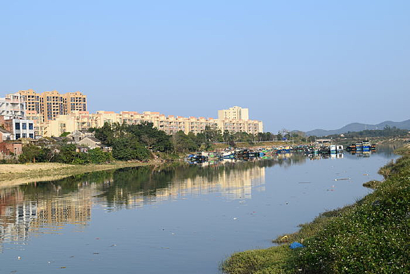 ֯�T����������Ӱ