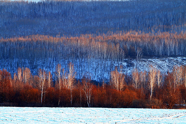 ������ѩ��