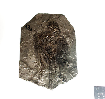 ������ʯ