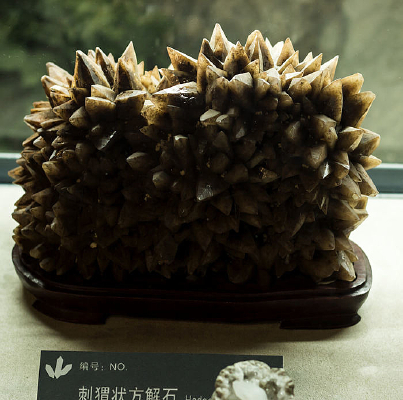 ���״����ʯ�걾