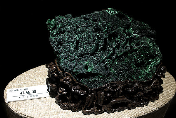 �㶫������ȸʯ