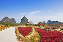 �һ��徰��