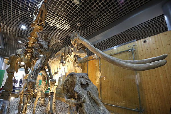 ���������ʯ