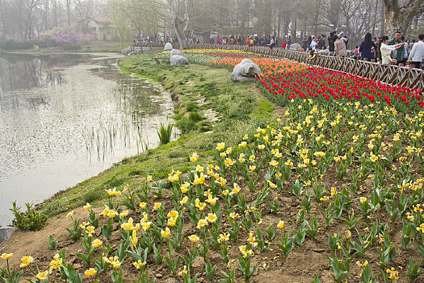 ���ߵ�������