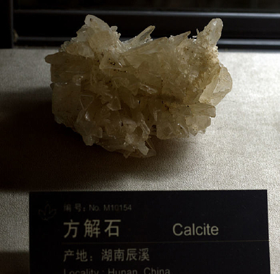 ���ϳ�Ϫ����ʯ�걾