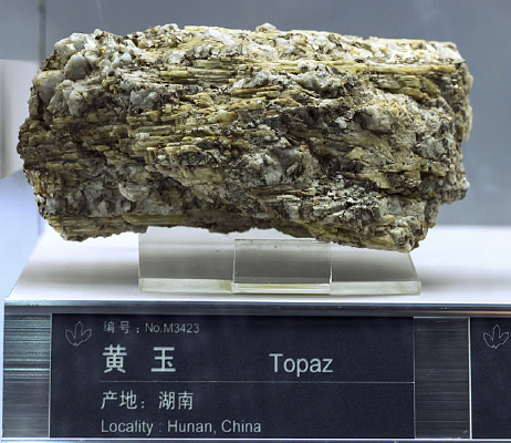 ���ϻ���걾