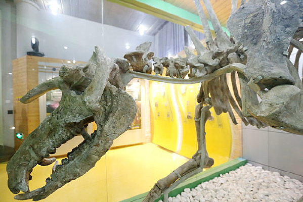 ���Ϳ������ʯ