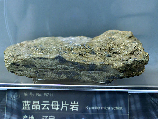 ������ĸƬ�ұ걾