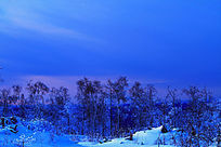 �ֺ�ѩԭϦ��