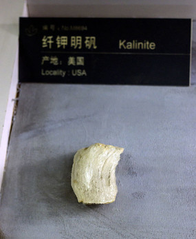 �����˼������걾