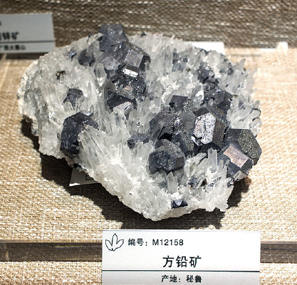 ��³��Ǧ��