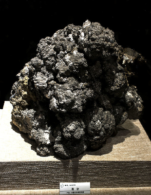 ���ɹŶ�ɰ�걾