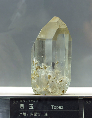 ���ɹŻ���걾