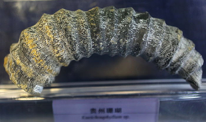 ����������ɺ����ʯ