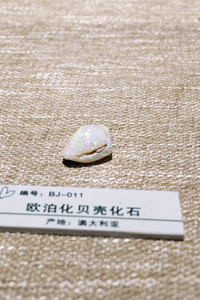 ������ʯ