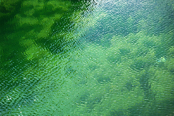 �峺�ĺ�ˮ����