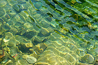 ͸������