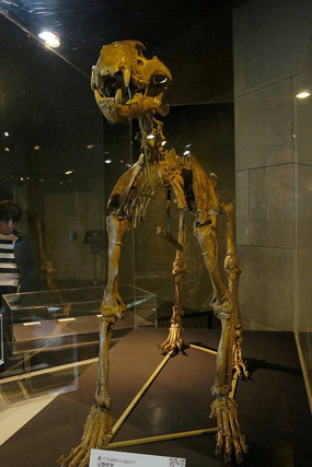 ɽ���������Ļ��Ǽ�