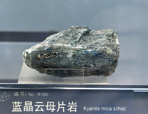 ɽ��������ĸƬ�ұ걾