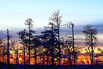 ����Ϧ��