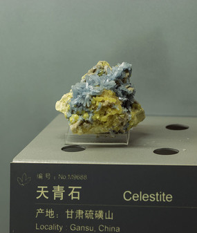 ����ʯ�걾