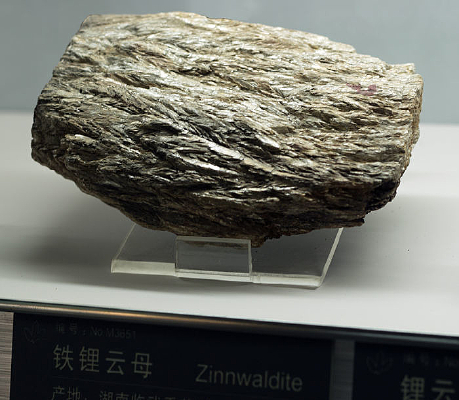 �����ĸ�걾