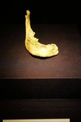 ����������������������