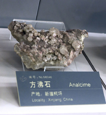 �½�����ʯ�걾