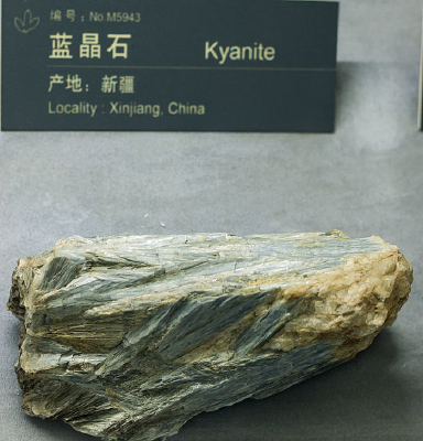 �½�����ʯ�걾