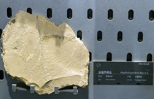 ����צ���滯ʯ