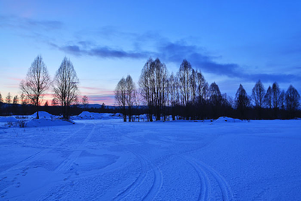 ѩԭ����ĺɫ