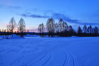 ѩԭ����ĺɫ