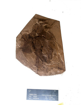 ���������ʯ