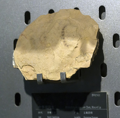 ������������滯ʯ