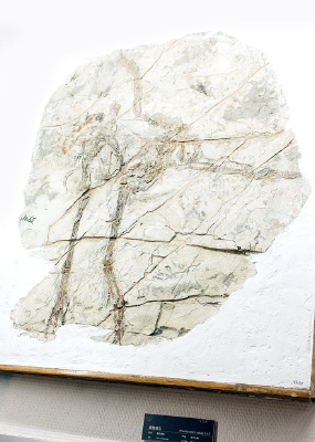 ���ԭʯ����ʯ